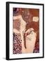 Watersnakes-Gustav Klimt-Framed Premium Giclee Print