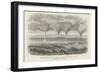 Waterspouts on Lake Constance-null-Framed Giclee Print