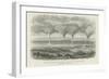 Waterspouts on Lake Constance-null-Framed Giclee Print