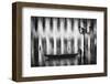 Watertaxi-Roswitha Schleicher-Schwarz-Framed Photographic Print