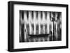 Watertaxi-Roswitha Schleicher-Schwarz-Framed Photographic Print