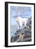 Waterton-Glacier International Peace Park - Mountain Goat and Baby-Lantern Press-Framed Art Print