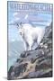 Waterton-Glacier International Peace Park - Mountain Goat and Baby-Lantern Press-Mounted Art Print