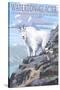 Waterton-Glacier International Peace Park - Mountain Goat and Baby-Lantern Press-Stretched Canvas