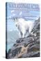 Waterton-Glacier International Peace Park - Mountain Goat and Baby-Lantern Press-Stretched Canvas