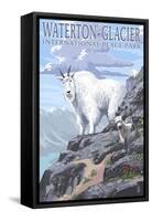 Waterton-Glacier International Peace Park - Mountain Goat and Baby-Lantern Press-Framed Stretched Canvas