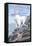 Waterton-Glacier International Peace Park - Mountain Goat and Baby-Lantern Press-Framed Stretched Canvas