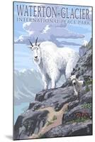 Waterton-Glacier International Peace Park - Mountain Goat and Baby-Lantern Press-Mounted Art Print