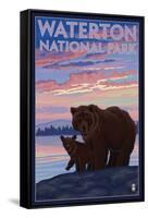 Waterton National Park, Canada - Bear & Cub-Lantern Press-Framed Stretched Canvas
