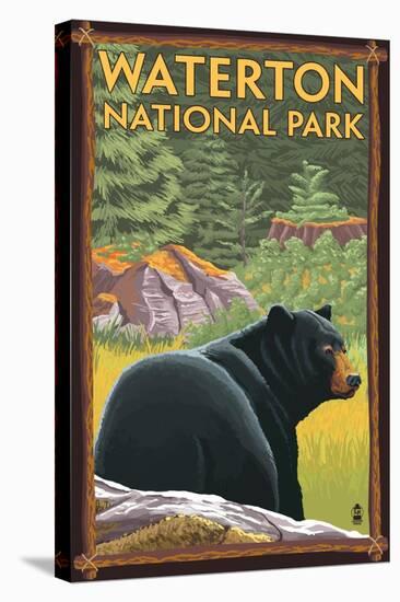 Waterton National Park, Canada - Bear in Forest-Lantern Press-Stretched Canvas