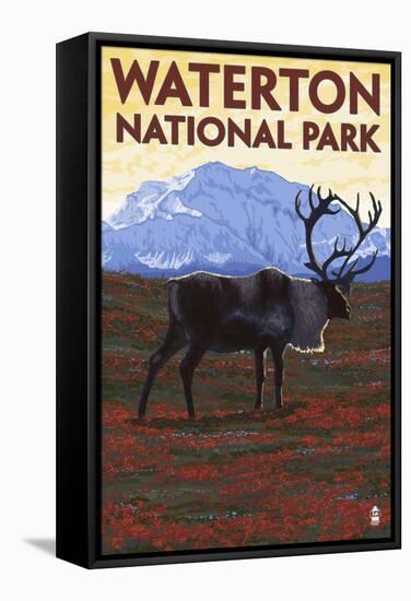 Waterton National Park, Canada - Caribou & Mountain-Lantern Press-Framed Stretched Canvas