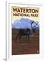 Waterton National Park, Canada - Caribou & Mountain-Lantern Press-Framed Art Print