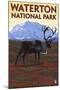 Waterton National Park, Canada - Caribou & Mountain-Lantern Press-Mounted Art Print