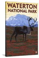 Waterton National Park, Canada - Caribou & Mountain-Lantern Press-Stretched Canvas