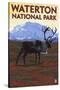 Waterton National Park, Canada - Caribou & Mountain-Lantern Press-Stretched Canvas
