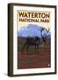 Waterton National Park, Canada - Caribou & Mountain-Lantern Press-Framed Art Print