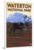 Waterton National Park, Canada - Caribou & Mountain-Lantern Press-Framed Art Print