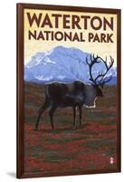 Waterton National Park, Canada - Caribou & Mountain-Lantern Press-Framed Art Print