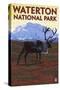 Waterton National Park, Canada - Caribou & Mountain-Lantern Press-Stretched Canvas