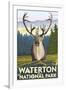 Waterton National Park, Canada - Caribou-Lantern Press-Framed Art Print