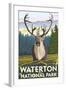 Waterton National Park, Canada - Caribou-Lantern Press-Framed Art Print