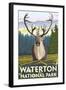 Waterton National Park, Canada - Caribou-Lantern Press-Framed Art Print