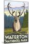 Waterton National Park, Canada - Caribou-Lantern Press-Mounted Art Print