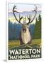 Waterton National Park, Canada - Caribou-Lantern Press-Framed Art Print