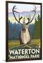 Waterton National Park, Canada - Caribou-Lantern Press-Framed Art Print