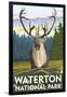 Waterton National Park, Canada - Caribou-Lantern Press-Framed Art Print