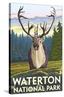 Waterton National Park, Canada - Caribou-Lantern Press-Stretched Canvas