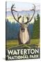 Waterton National Park, Canada - Caribou-Lantern Press-Stretched Canvas