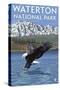 Waterton National Park, Canada - Eagle Fishing-Lantern Press-Stretched Canvas