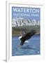 Waterton National Park, Canada - Eagle Fishing-Lantern Press-Framed Art Print