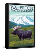 Waterton National Park, Canada - Moose and Mountain-Lantern Press-Framed Stretched Canvas