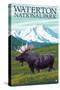 Waterton National Park, Canada - Moose and Mountain-Lantern Press-Stretched Canvas