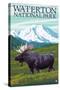 Waterton National Park, Canada - Moose and Mountain-Lantern Press-Stretched Canvas