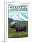 Waterton National Park, Canada - Moose and Mountain-Lantern Press-Framed Art Print