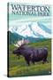 Waterton National Park, Canada - Moose and Mountain-Lantern Press-Stretched Canvas