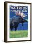 Waterton National Park, Canada - Moose at Night-Lantern Press-Framed Art Print