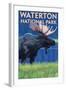 Waterton National Park, Canada - Moose at Night-Lantern Press-Framed Art Print