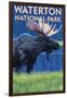 Waterton National Park, Canada - Moose at Night-Lantern Press-Framed Art Print