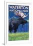 Waterton National Park, Canada - Moose at Night-Lantern Press-Framed Art Print