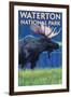 Waterton National Park, Canada - Moose at Night-Lantern Press-Framed Art Print