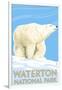 Waterton National Park, Canada - Polar Bear-Lantern Press-Framed Art Print