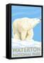 Waterton National Park, Canada - Polar Bear-Lantern Press-Framed Stretched Canvas