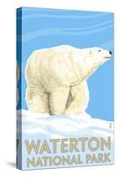 Waterton National Park, Canada - Polar Bear-Lantern Press-Stretched Canvas