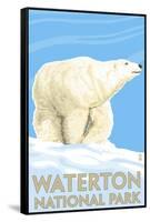 Waterton National Park, Canada - Polar Bear-Lantern Press-Framed Stretched Canvas