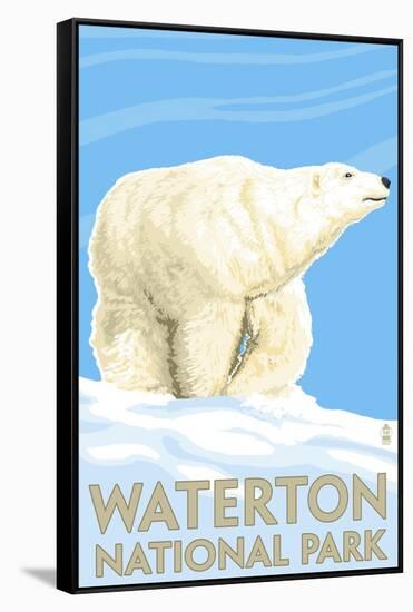 Waterton National Park, Canada - Polar Bear-Lantern Press-Framed Stretched Canvas