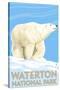 Waterton National Park, Canada - Polar Bear-Lantern Press-Stretched Canvas